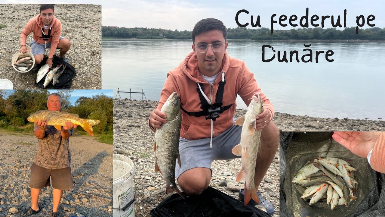 DUNĂREA surprinzătoare din nou!!!😱 Activitate INTENSĂ în pescuitul la FEEDER!18/19 SEPTEMBRIE 2023