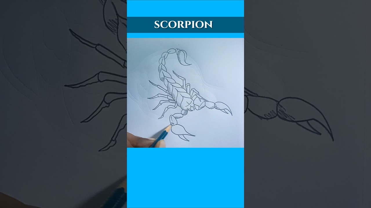 how to draw a Scorpion - scorpion easy drawing #shortsvideo