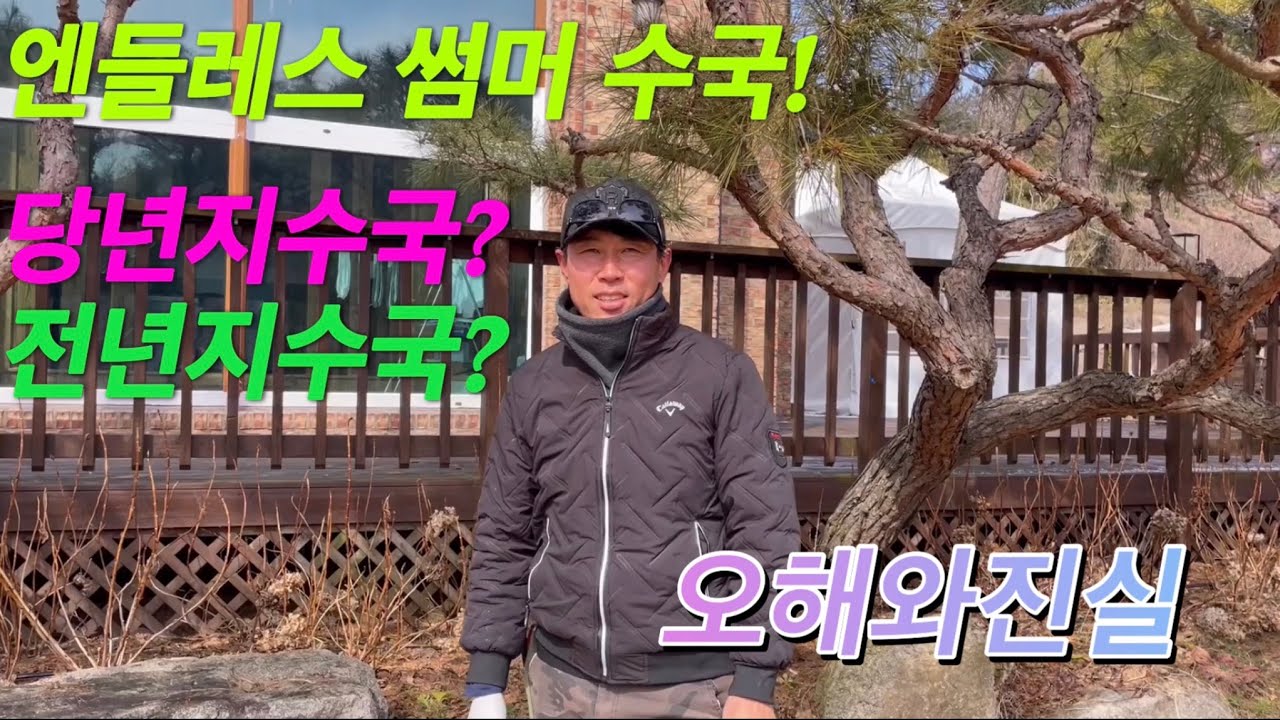 엔들레스 썸머 수국 이것만은 알고 키우자! 전년지?당년지?