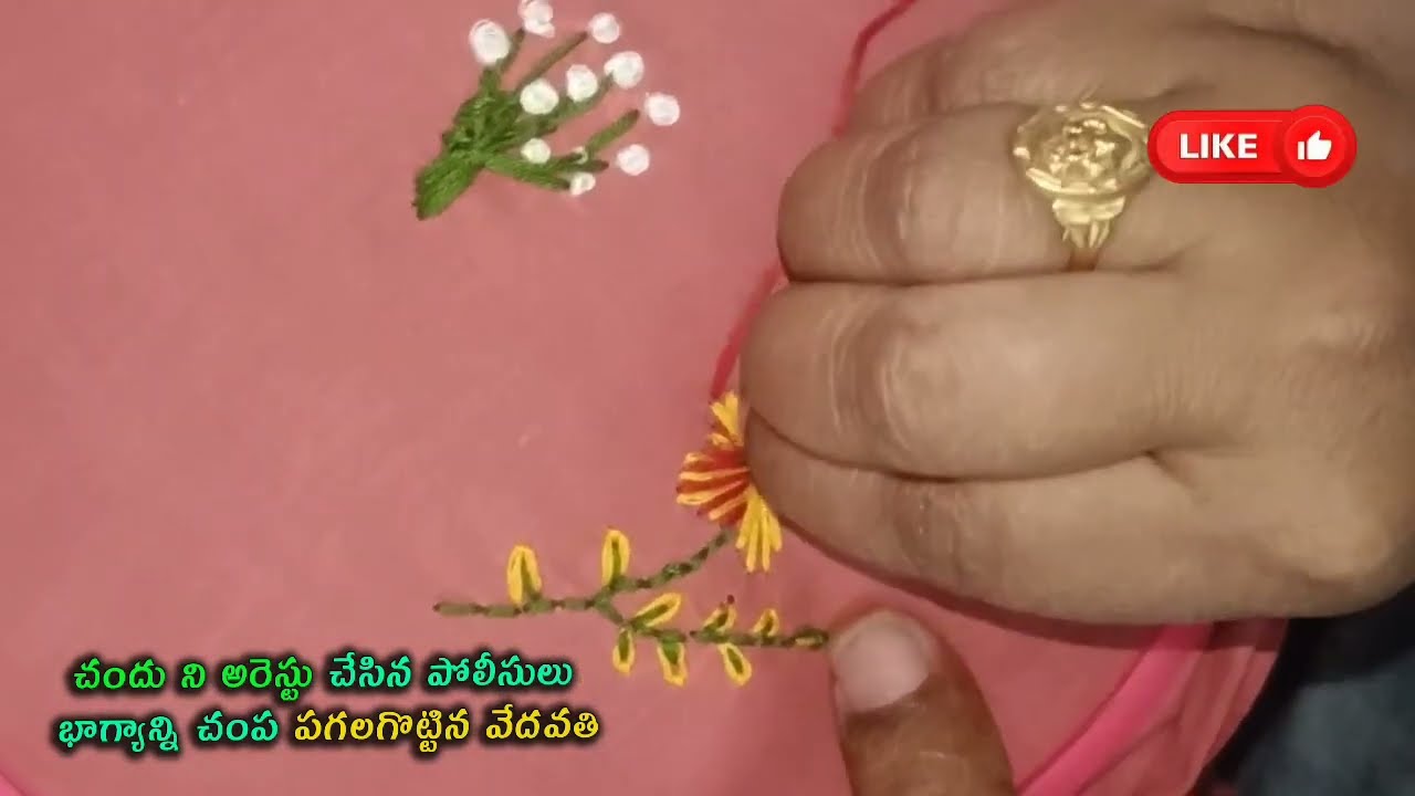 Illu Illalu Pillalu Serial Review చందు ని అరెస్టు చేసిన పోలీసులు భాగ్యాన్ని చంప పగలగొట్టిన వేదవతి