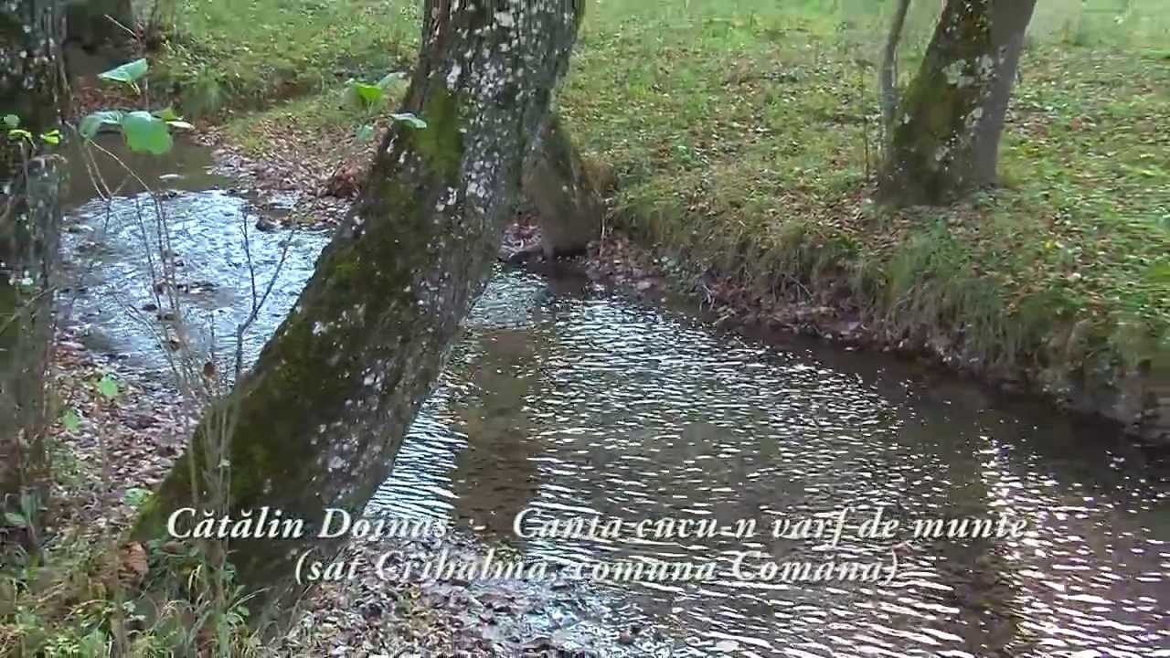 Comăna un sat de-a lungul văii
