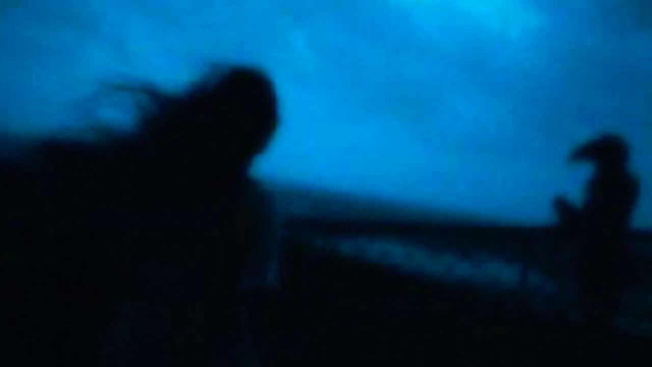 Wish That You Were Here - Florence + The Machine (tradução)