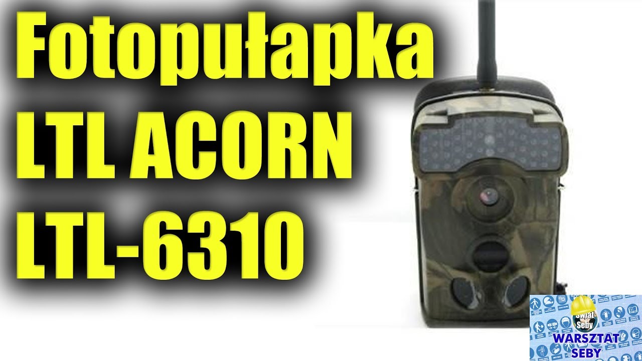 Pierwszy Kontakt: Unboxing Fotopułapki LTL ACORN LTL-6310
