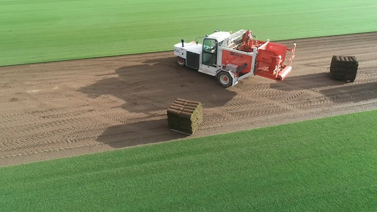 South Devon Turf - Farm Life