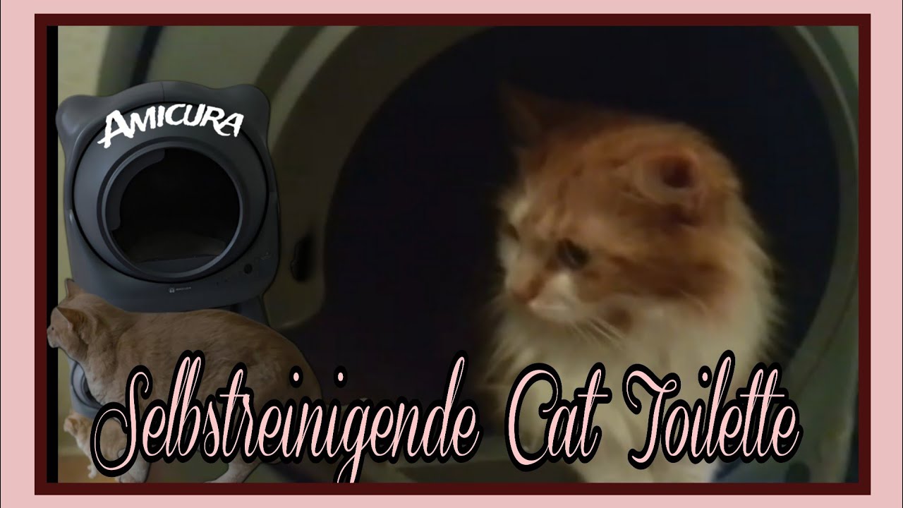Die Muckels und ihre Freundin Jasmin, stellen euch eine selbstreinigendes Katzenklo vor 😺😸😻