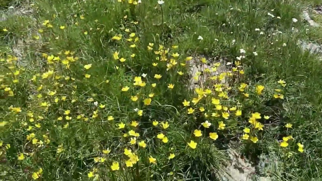 Primavera al Polveracchio