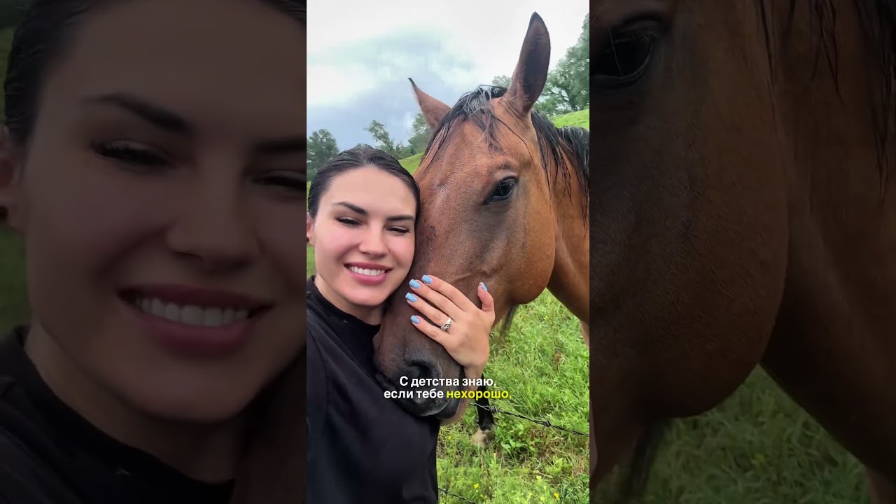 Как я бросила груз под ливнем... #дальнобойвсша#грузоперевозки#лошади