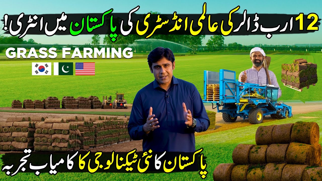 Pakistan's New Technology in Grass Farming | Billion Dollar New Super Industry | Kissan Ka Pakistan