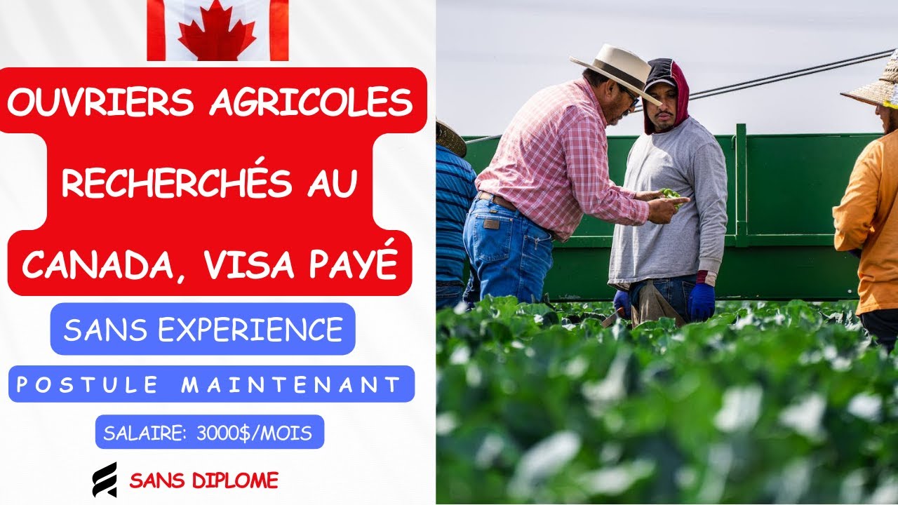 OUVRIERS AGRICOLES AU CANADA AVEC VISA GRATUIT EN 2024, AUCUNE FORMATION, AUCUNE EXPÉRIENCE