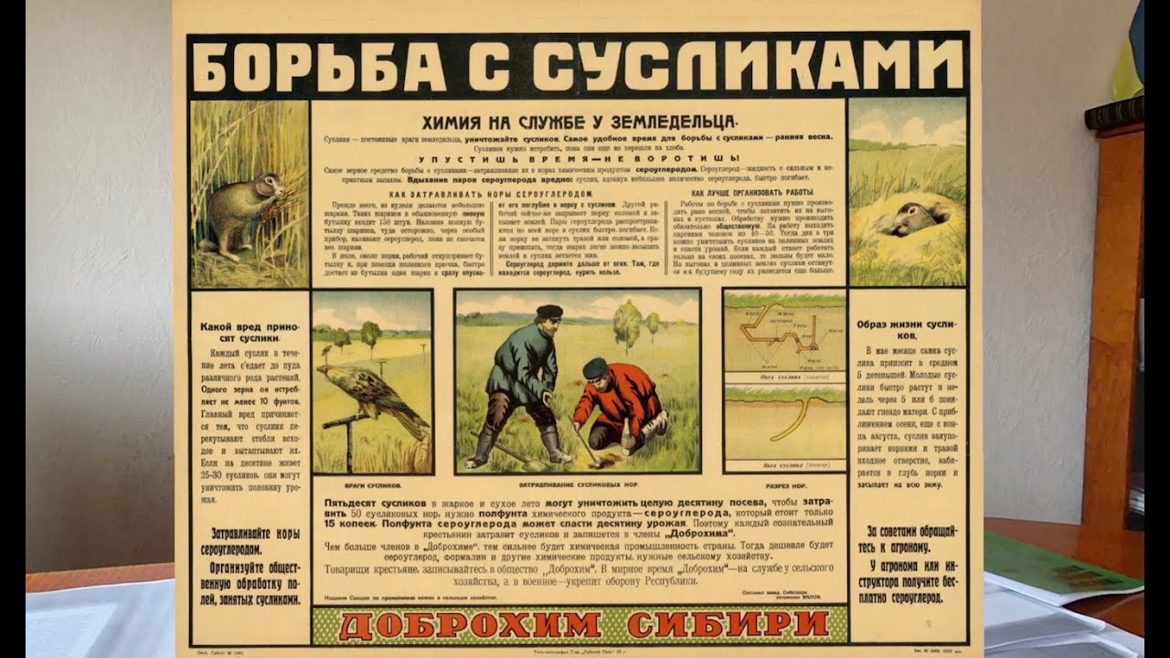 СРСР проти тварин