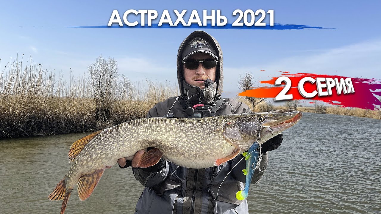Нашли крупную щуку. Астрахань 2021 часть 2