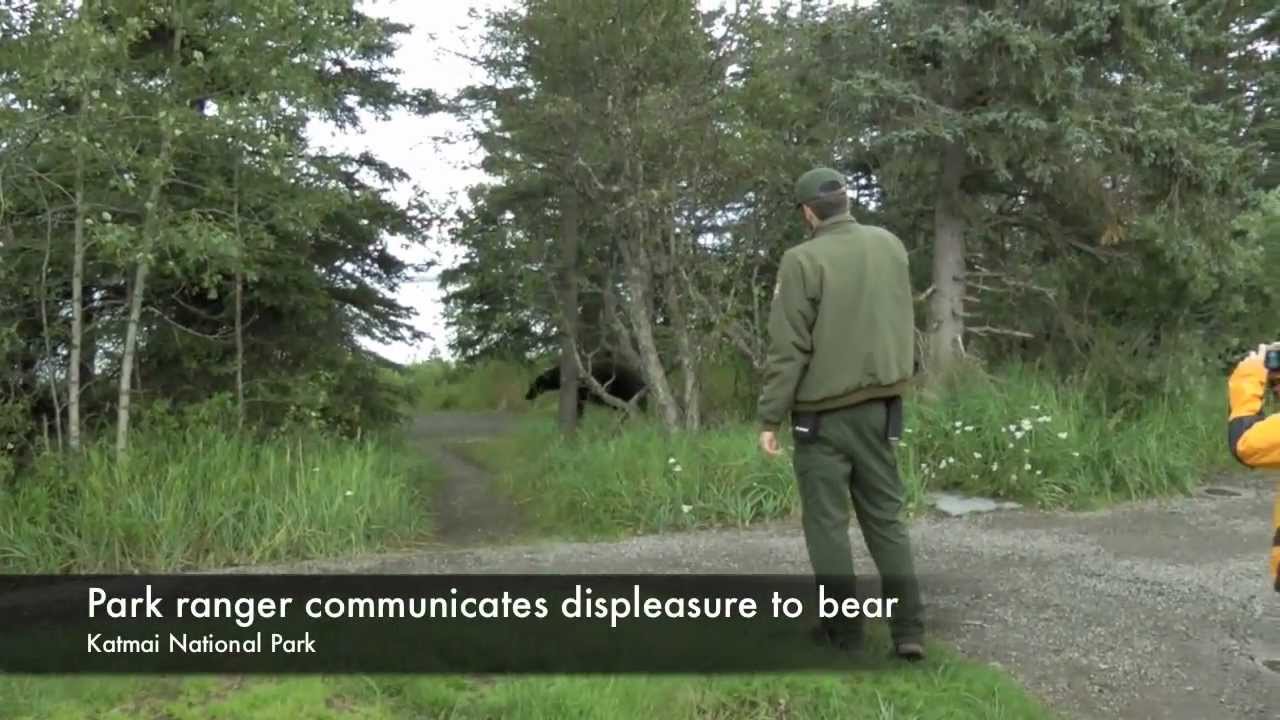 Bear Safety Tips While Hiking in Alaska 720p