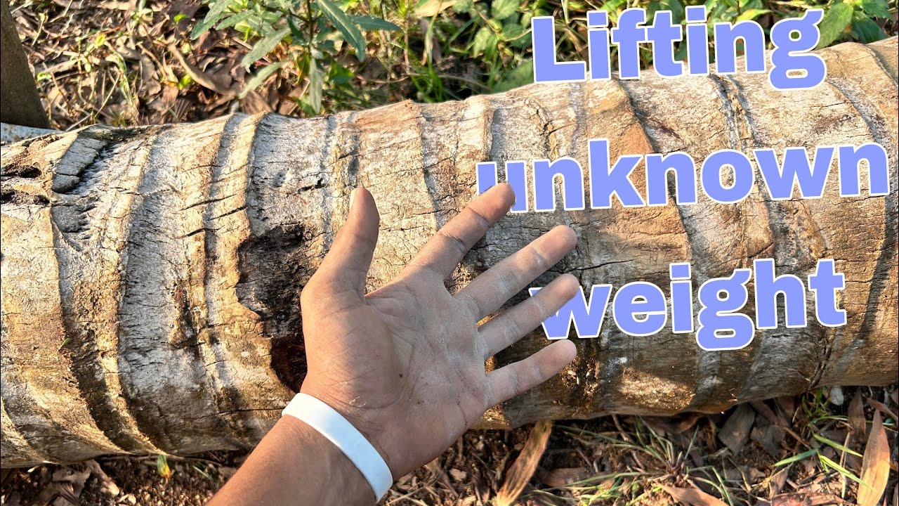 Trying to lift up a piece of tree