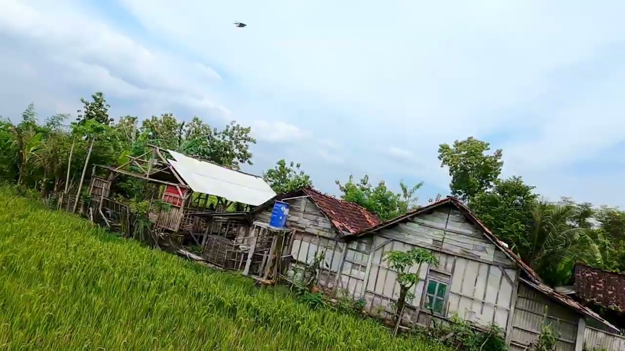 Nerbangin drone dji neo fpv malah di lempari tukang nyangkul