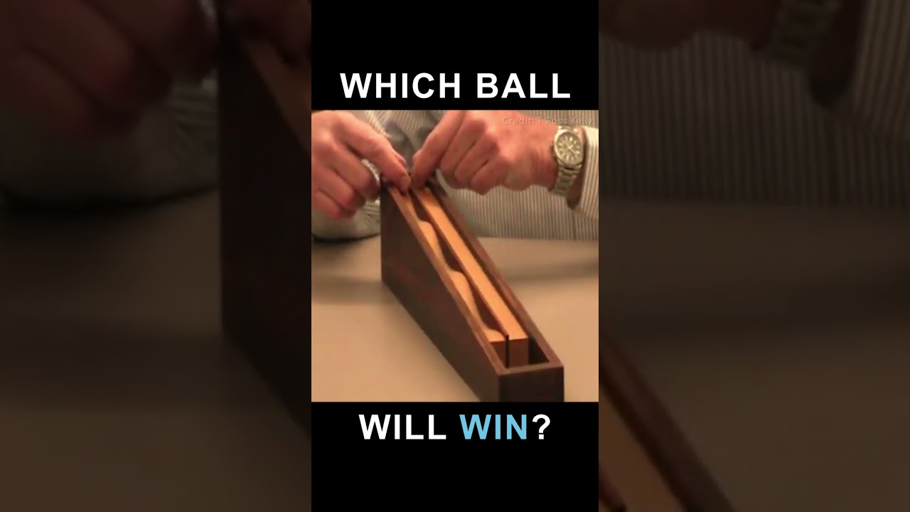The Gravity Illusion