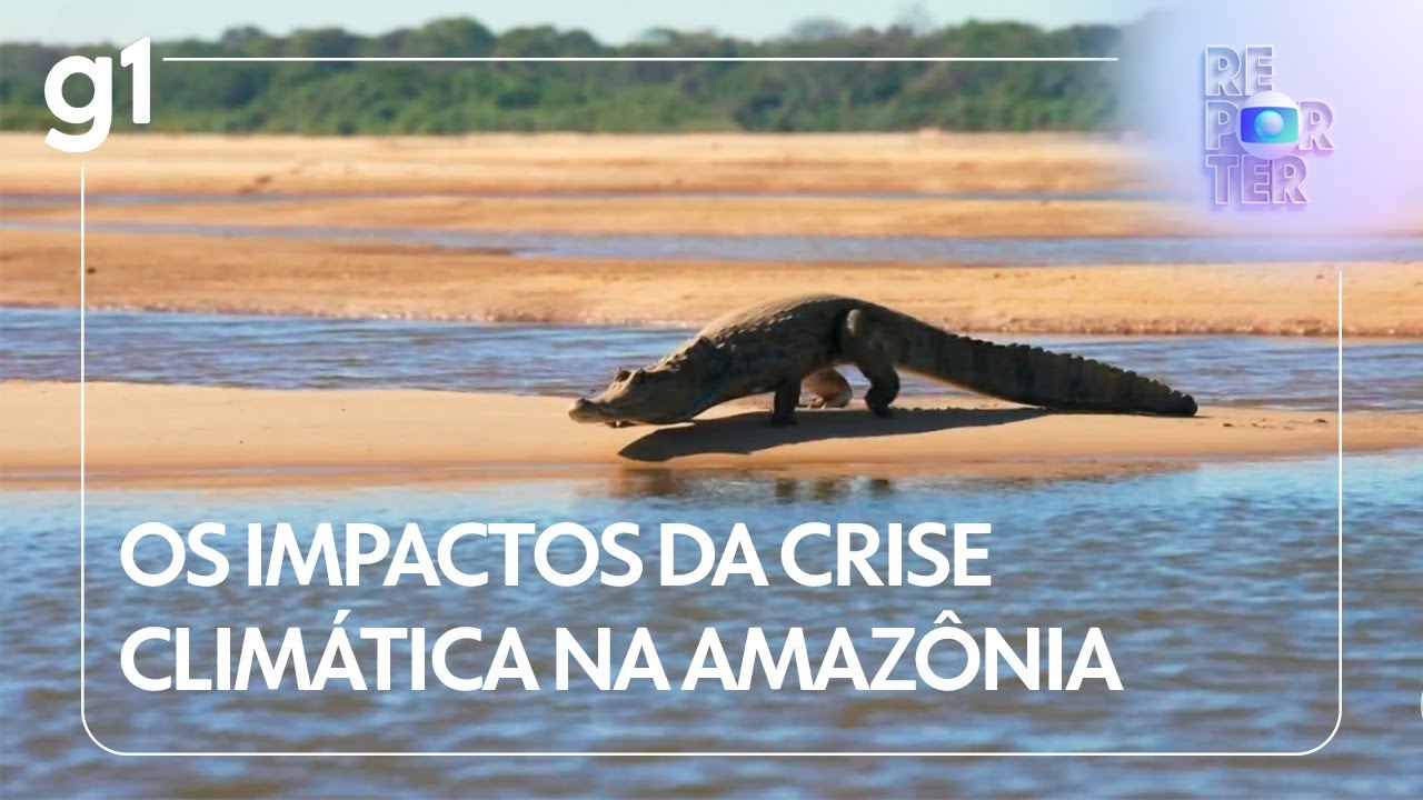 GLOBO REPÓRTER: os impactos da crise climática na Amazônia