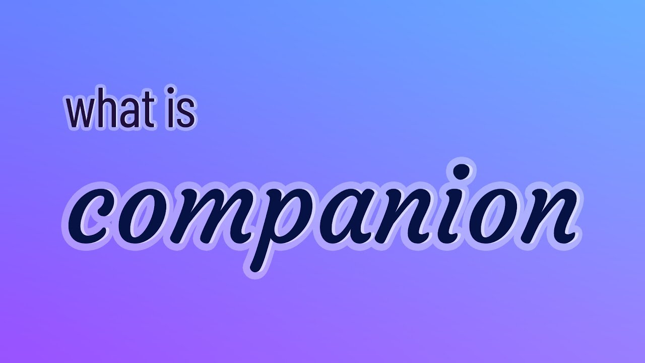 Companion - 115 English Vocabulary Flashcards