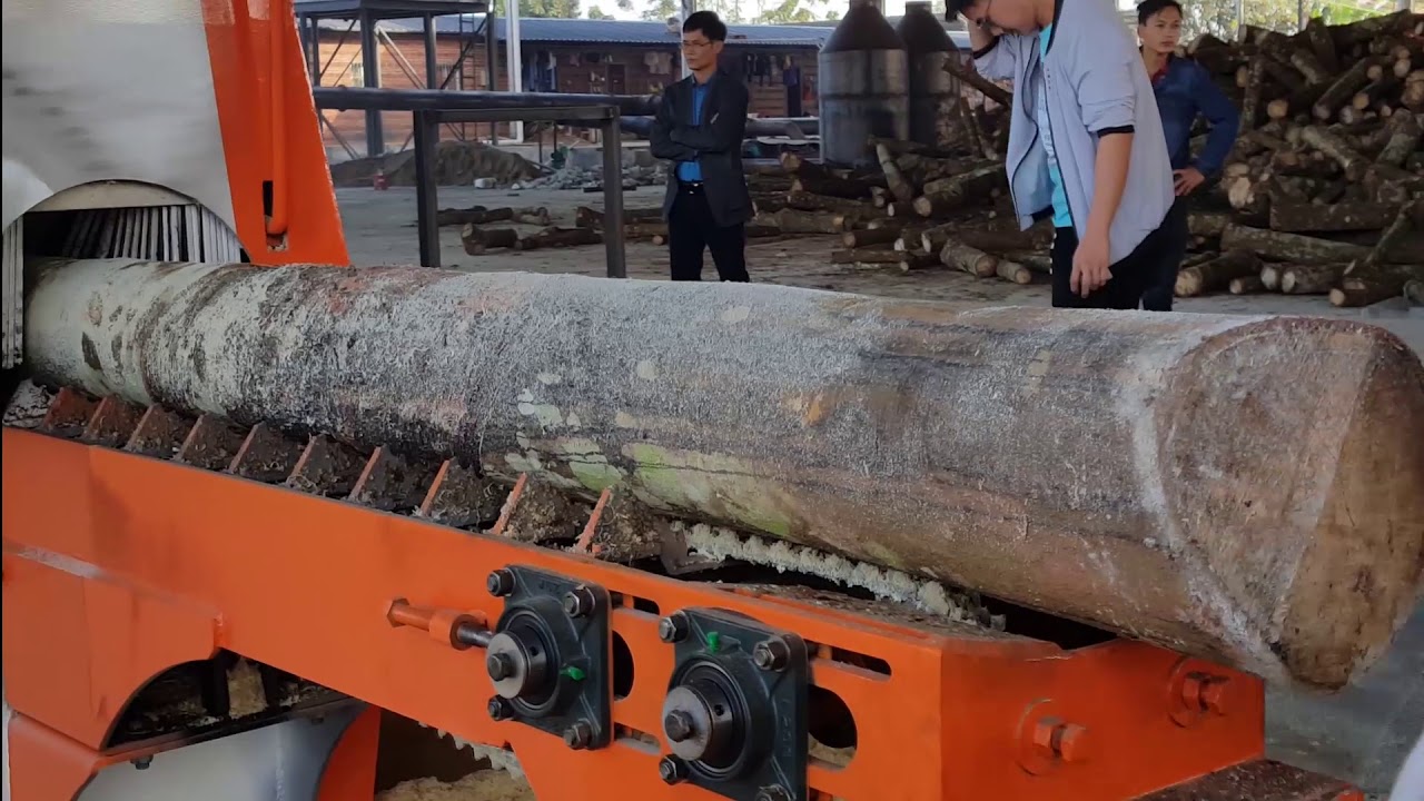 log Multi rip saw machine with High speed