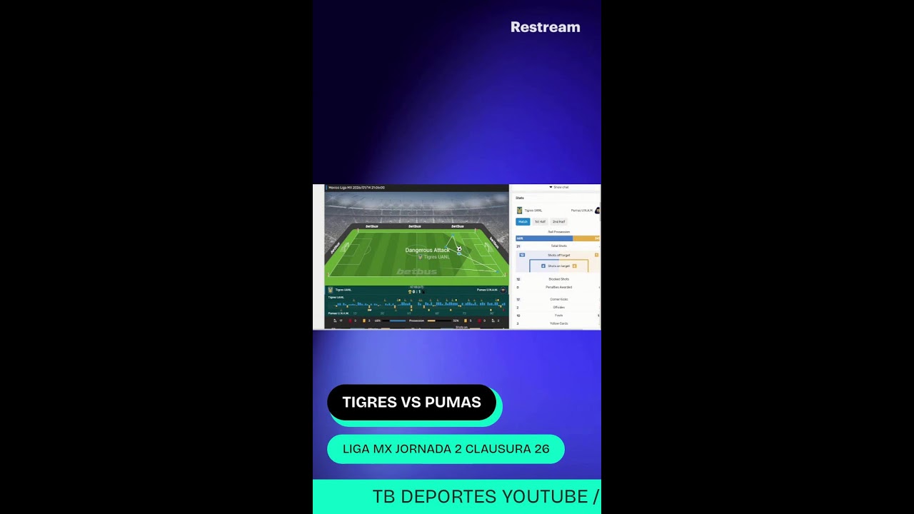 TIGRES VS PUMAS