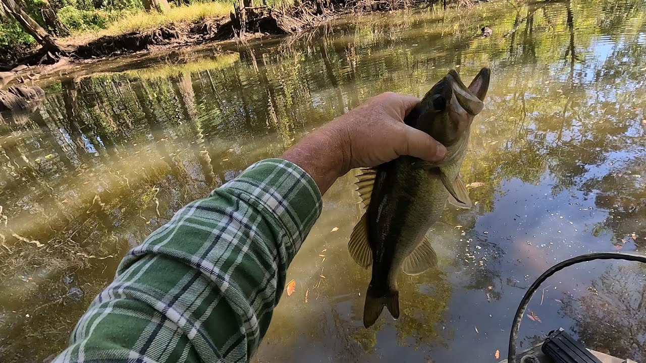 Slough Fishin on Mobile Tensaw Delta with My All TIme Favorite Lure