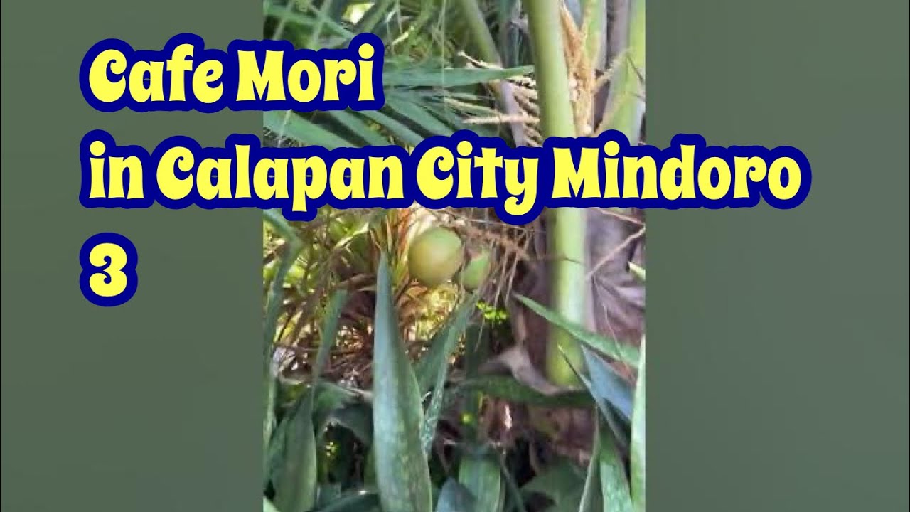 Cafe Mori in Calapan City ep3 🥰😍