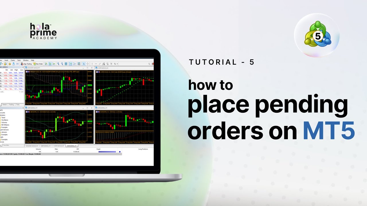How to Place Pending Orders on MetaTrader 5 (MT5) &ndash; Step-by-Step Guide! | Hola Prime