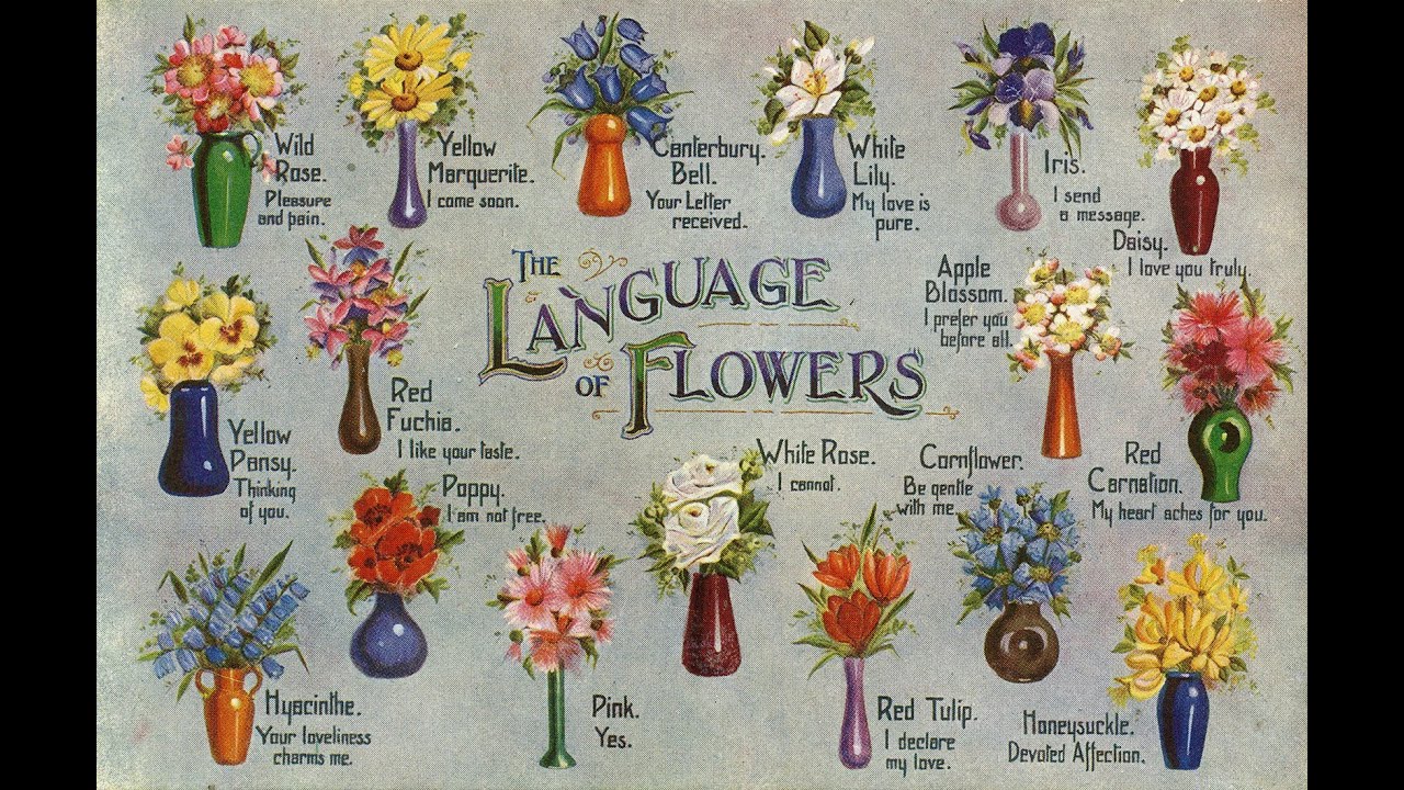 The Language of Flowers