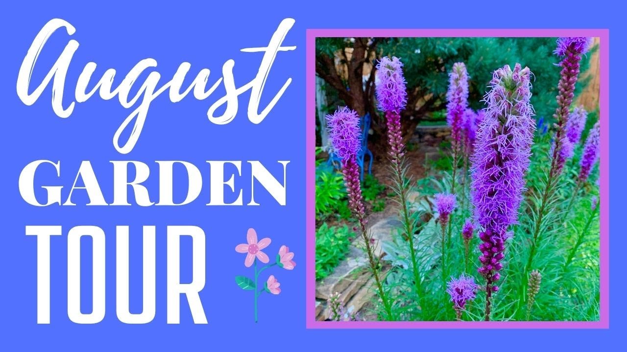 End of Summer GARDEN TOUR August 2021 ~ Beautiful Late Blooming Flowers 🌸🌿🌺