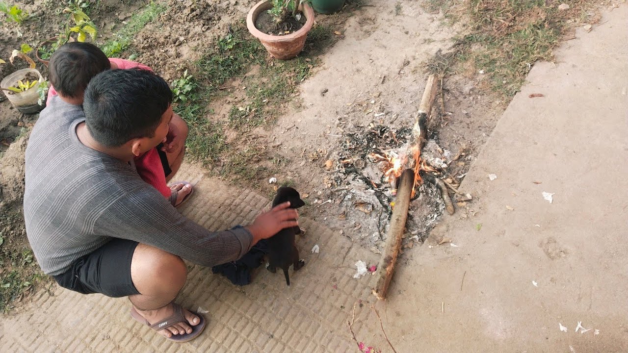 Kolkata Ki Maucham 😳Puppy Ke Liye To Rahi Hain Tuktuk😭😭Doggy Ke Liye Papaji Ne Lagaya Aag🤗
