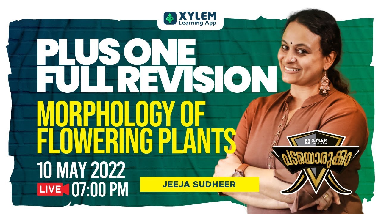 MORPHOLOGY OF FLOWERING PLANTS | PLUS ONE BIOLOGY | XYLEM LEARNING