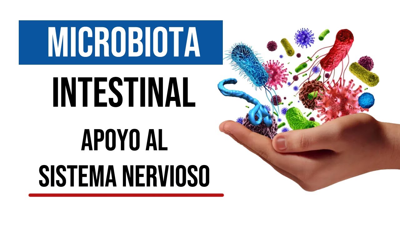 ✅ Tratamiento de la MICROBIOTA INTESTINAL asociada a patologías del SISTEMA NERIVOSO. [Mar Alonso]