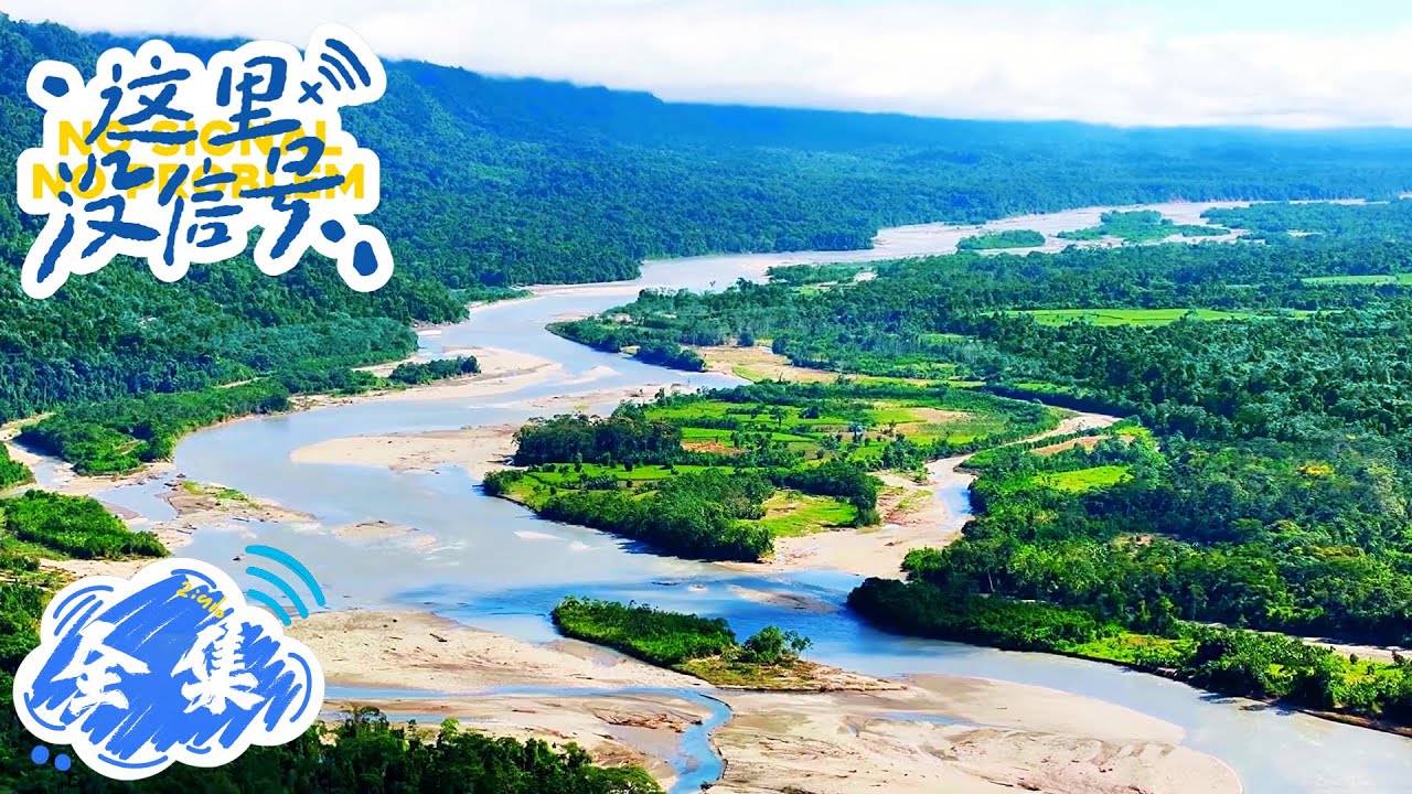 【这里没信号 No Signal】断联后的狂欢！🌿加拉帕戈斯企鹅跑超快 / 亚马逊寻蛋龟失败，野趣比信号更上头～🐢 | 腾讯视频 - 纪录片