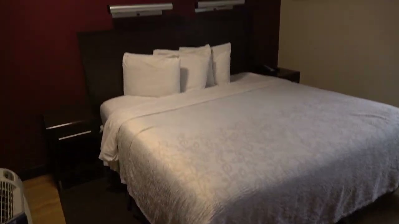 Полный тур по отелю и обзор: ПРИЯТНО УДИВЛЕНЫ в отеле The Red Roof PLUS+ BWI Airport в Балтиморе,...