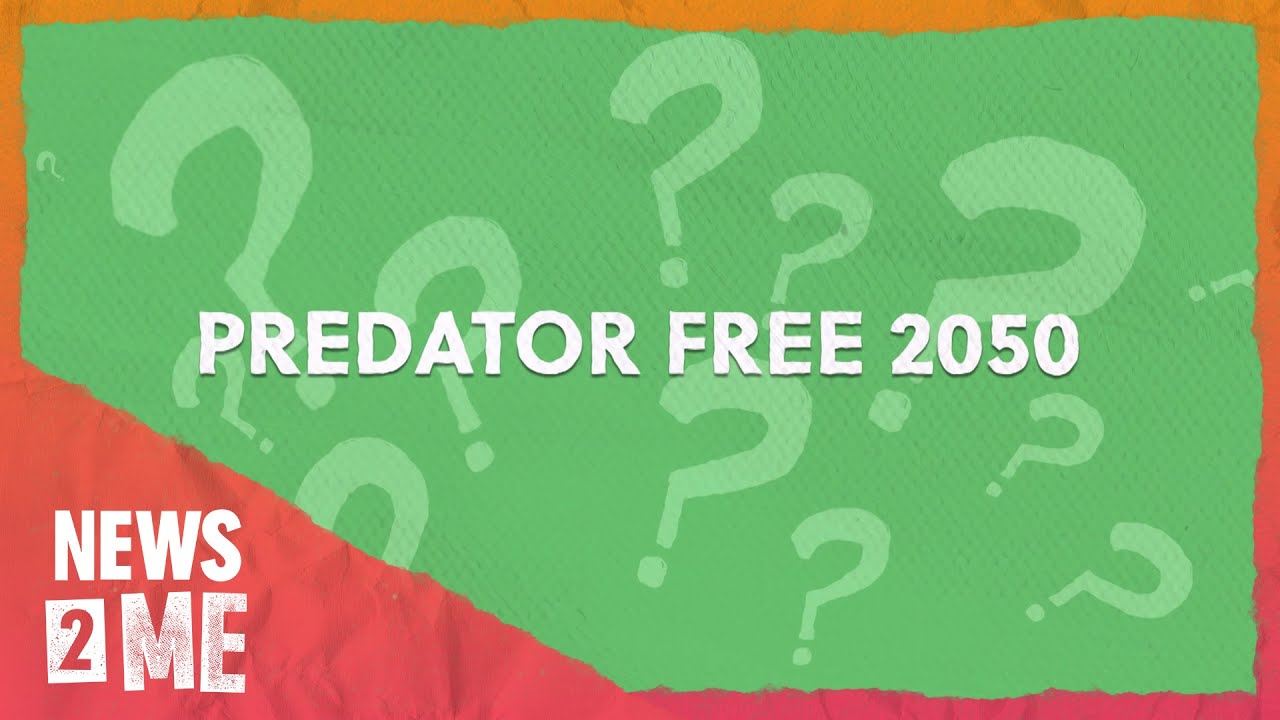 How can NZ go predator free by 2050? | News2Me