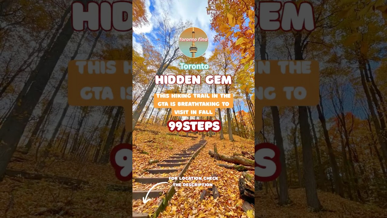 Hidden Gem Near Toronto 🌿|Hiking 99 Steps at Thornton Bales Conservation Area