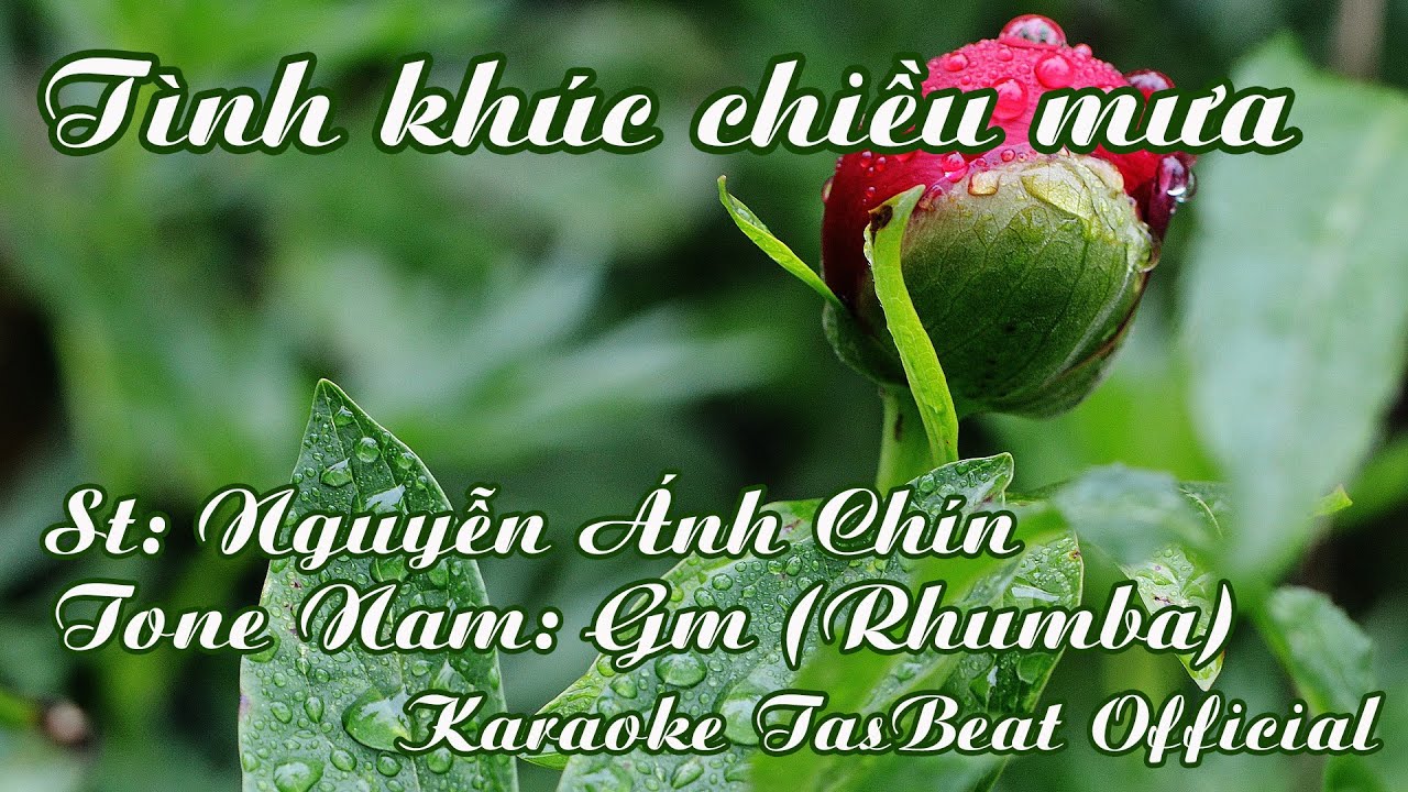 Karaoke Tình Khúc Chiều Mưa (Rhumba) Tone Nam | TAS BEAT