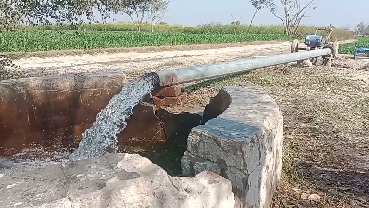 گندم کا دوسرا پانی 