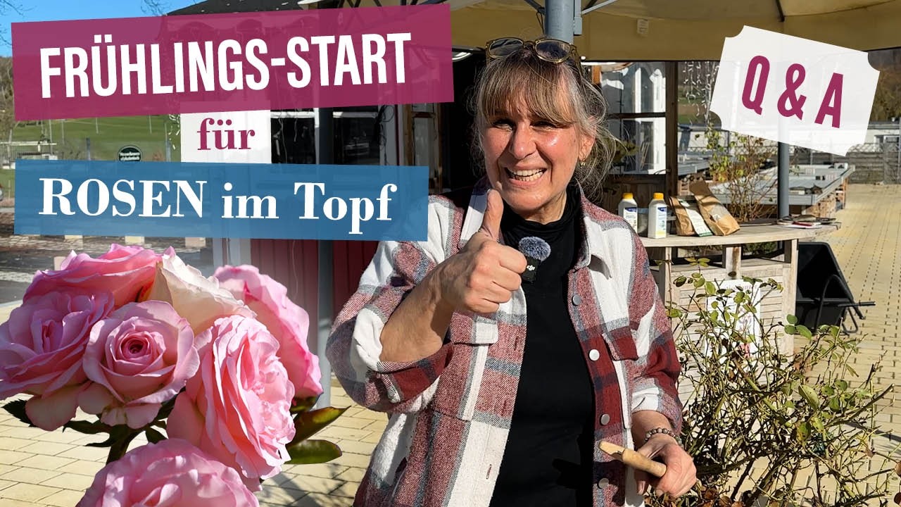 🌹 Rosen im Topf im Frühling richtig schneiden & versorgen | Rückschnitt, Frost & erstes Spritzen