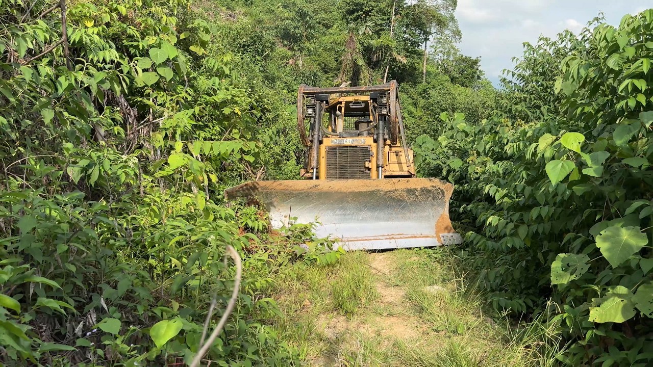 Reviving Old Plantation Road Infrastructure with a D6R XL Bulldozer