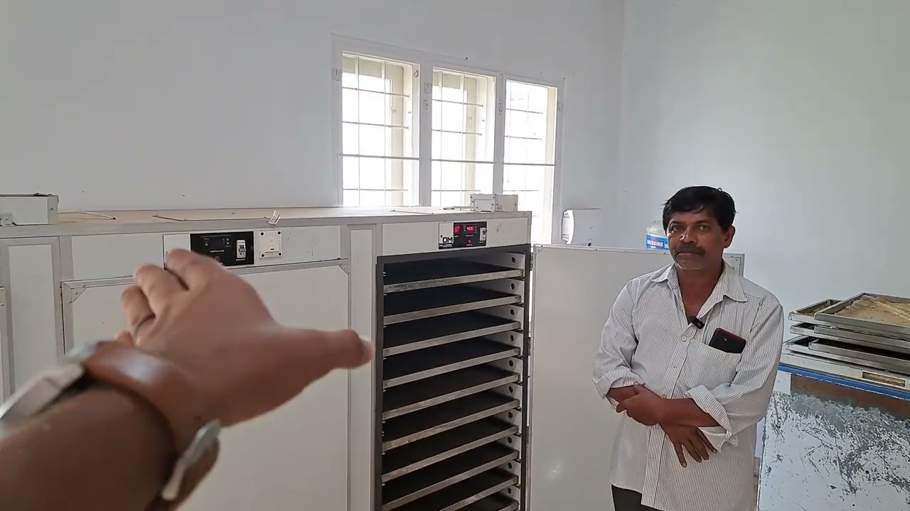ചാള, അയല, ചെമ്മീൻ, നത്തോലി  തുടങ്ങിയ മീനുകൾ ഹൈ ക്വാളിറ്റിയിൽ ഉണക്കുന്ന  വിശേഷങ്ങൾ #shorts