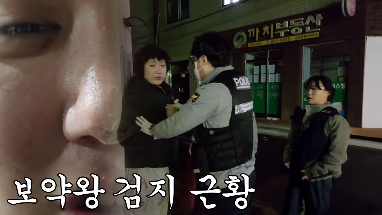 답은 녹차에 있다, 녹차는 해답을 알고 있다