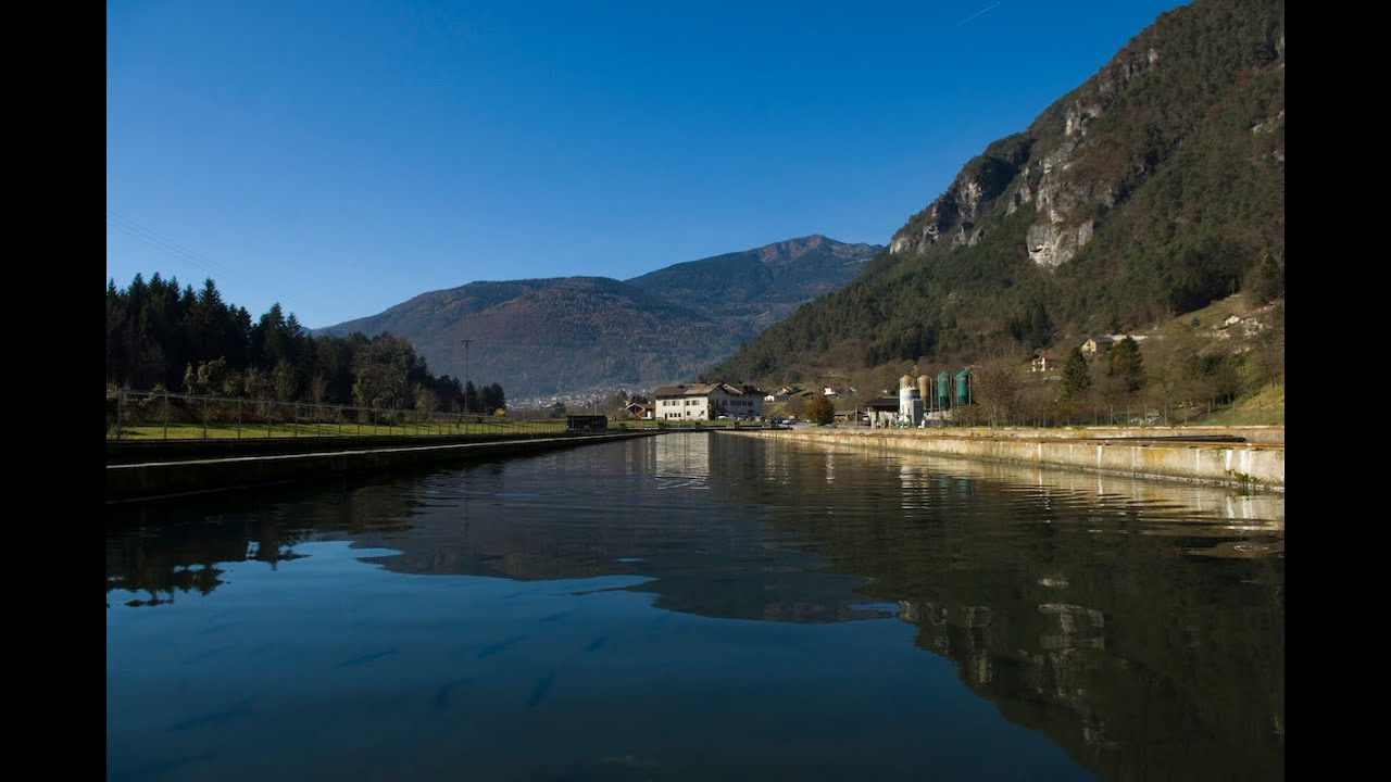 Sarca, tesoro di biodiversit&agrave;: il fiume e l&rsquo;uomo