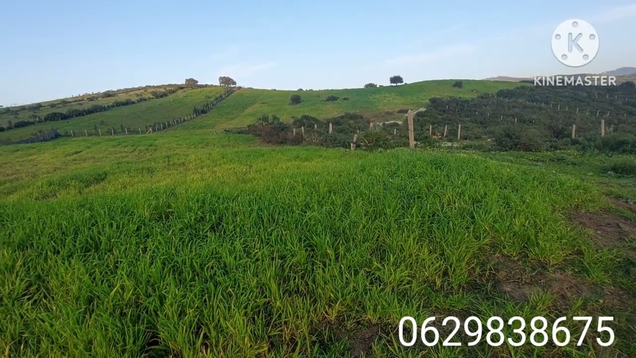 قطعة أرضية ملكية قابلة لتحفيض مساحتها 1500م لتواصل معي على أي تفسير رقم 0629838675