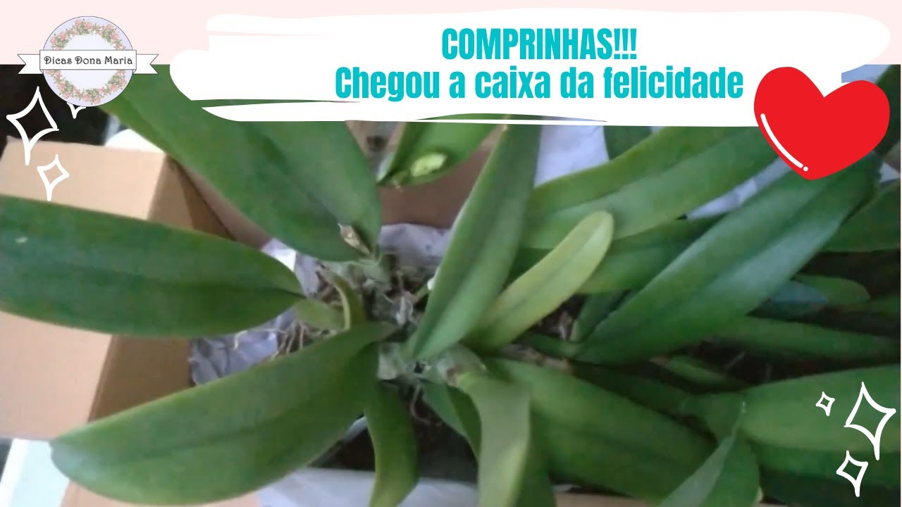 Dicas Dona Maria - Comprinhas!!! Chegou a caixa da felicidade 😁💖🌺