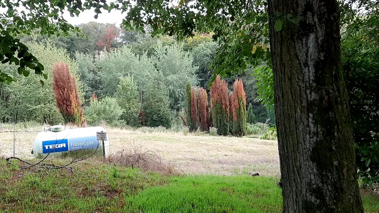 Stadt Essen Die ehemalige Suchthilfeeinrichtung 