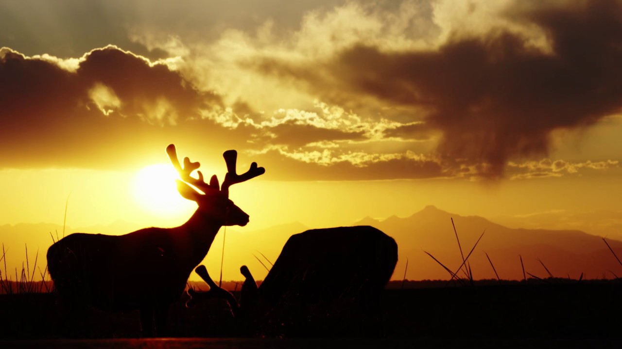 These Are Your National Wildlife Refuges