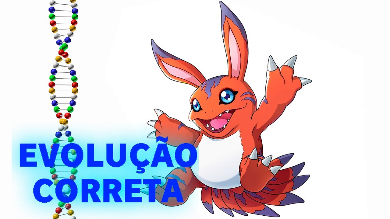 Elecmon - Evolu&ccedil;&atilde;o Correta
