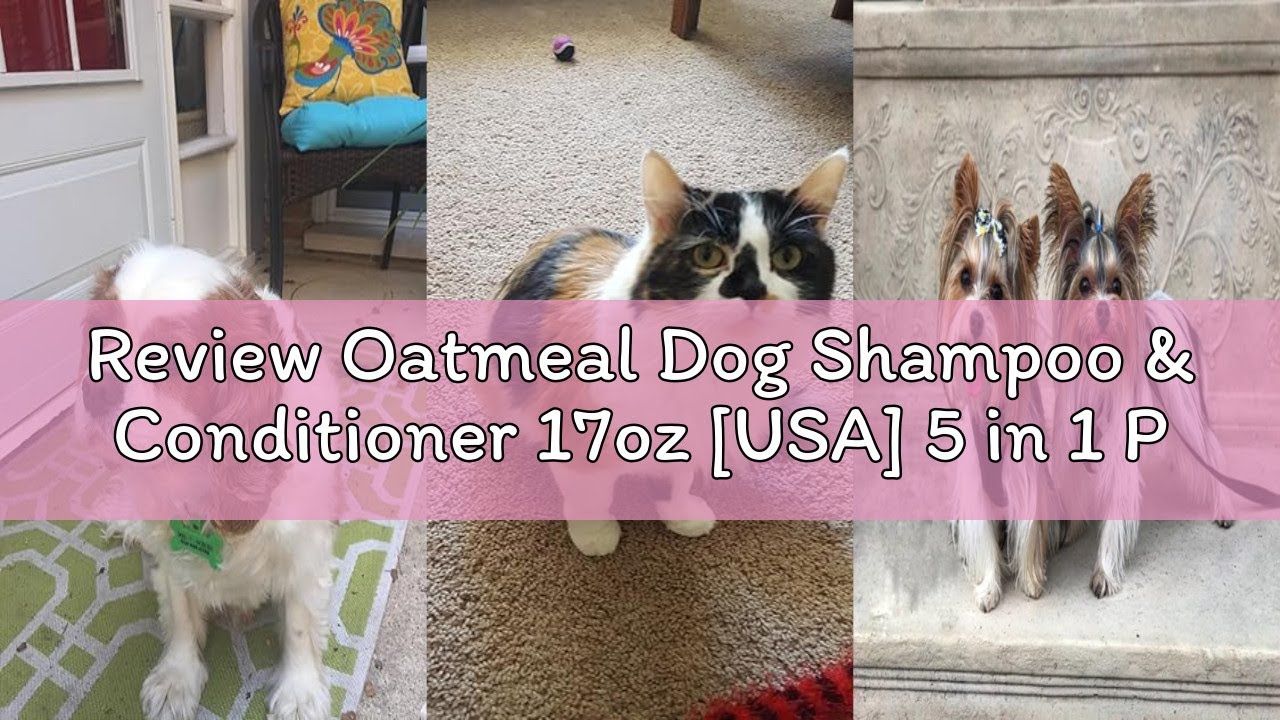 Review Oatmeal Dog Shampoo & Conditioner 17oz [USA] 5 in 1 Plant-Based Organic Sulfate-Free Soap-Fre