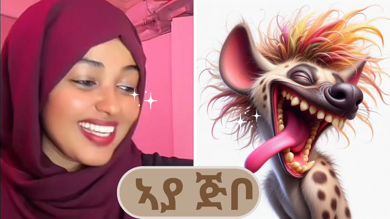 ኣያ ጅቦ🤣