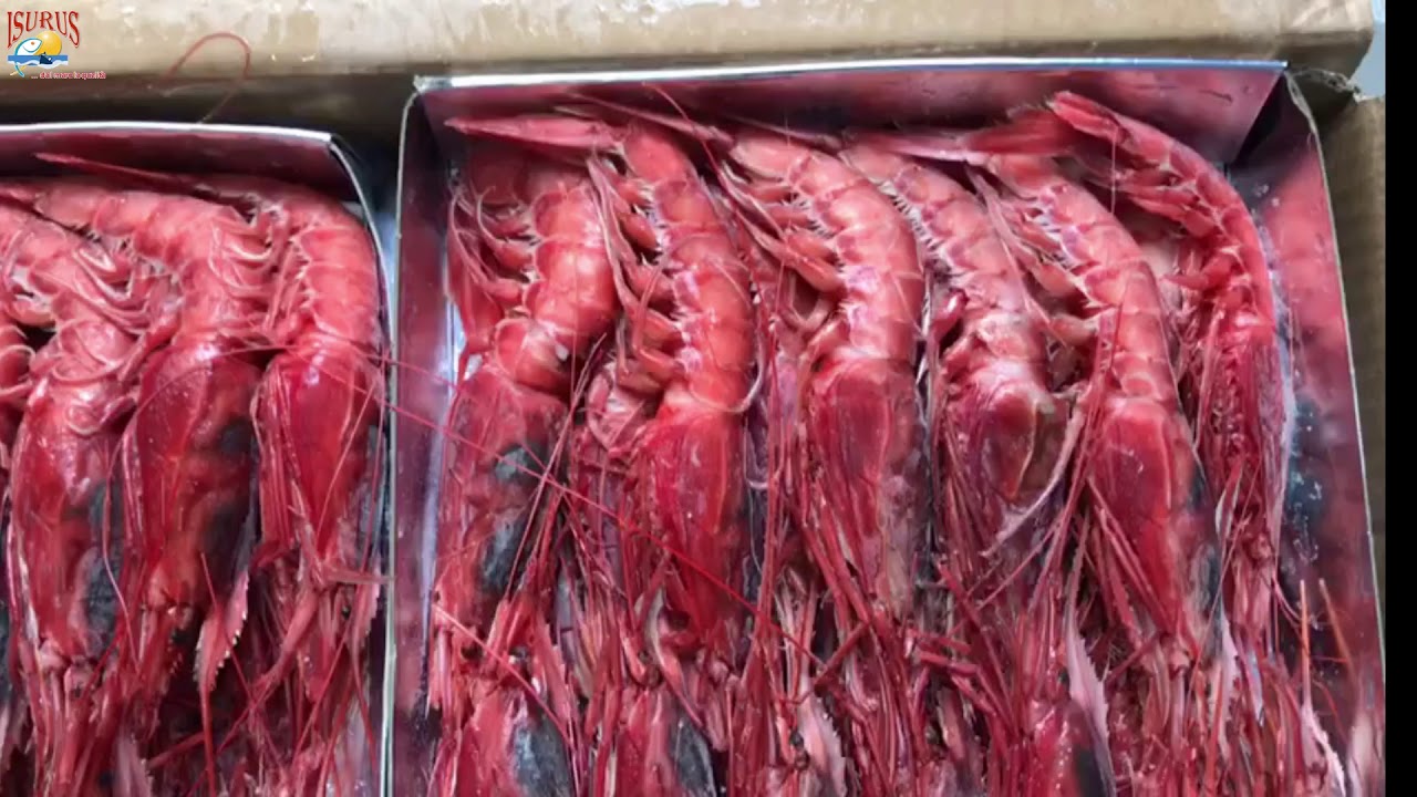 Gambero Rosso